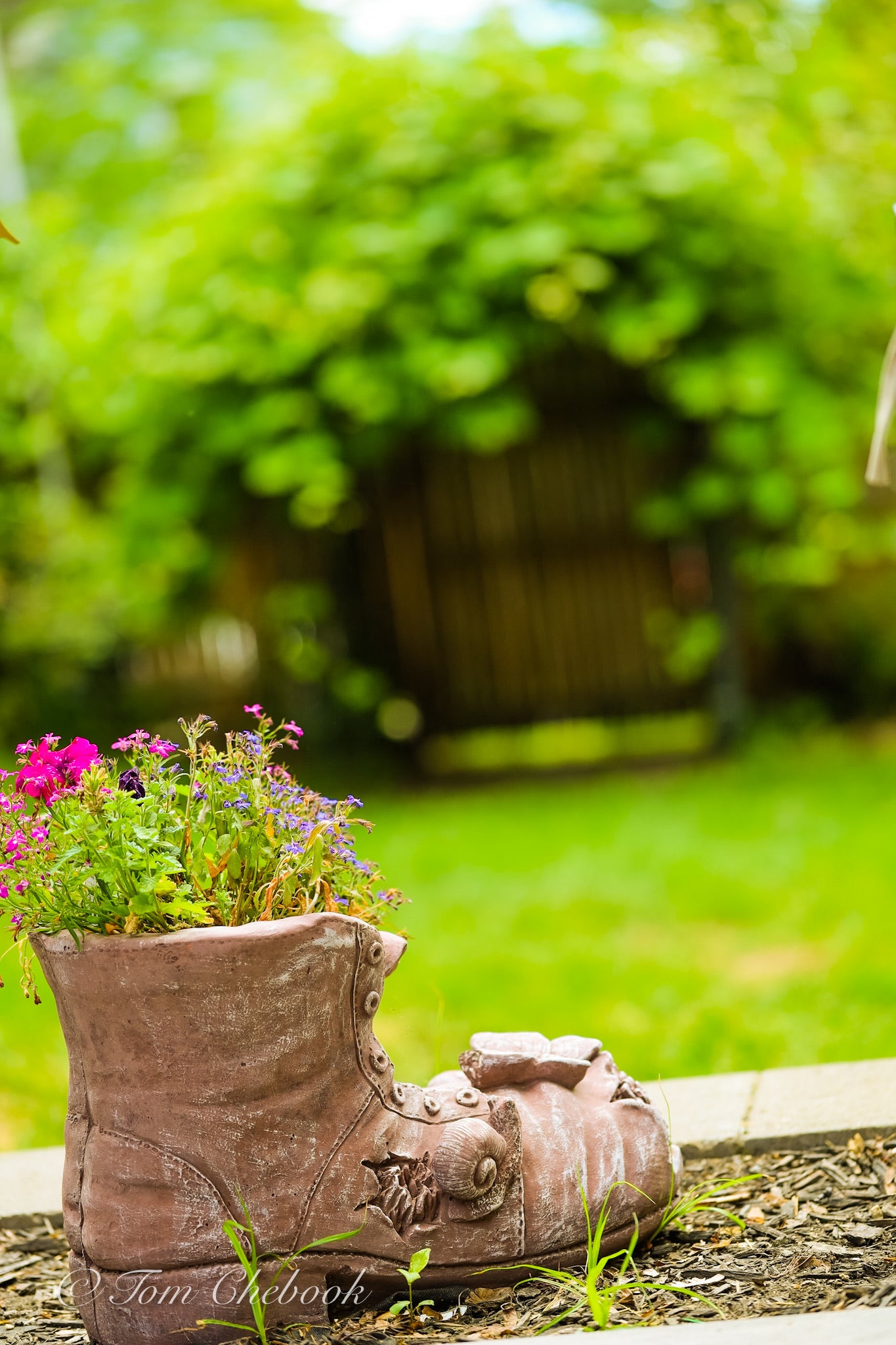 Stepping into spring