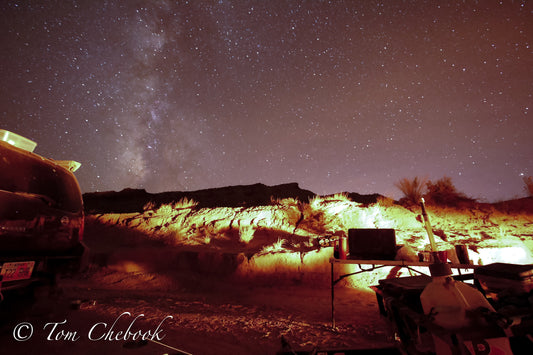 Night Life in the desert